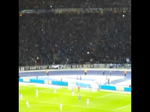 Vedad Ibisevic Goal vs Bayern Munich Hertha Berlin vs Bayern 2018